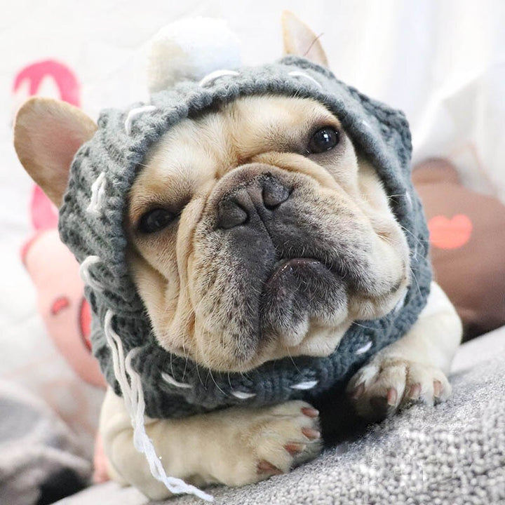 Winter Pet Hat Christmas Dog Cap Fat Large Dog Hats for Dogs Cats Accessories French Bulldog Caps for Dogs Labrador New Year Hat